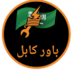 شركة باور كابل